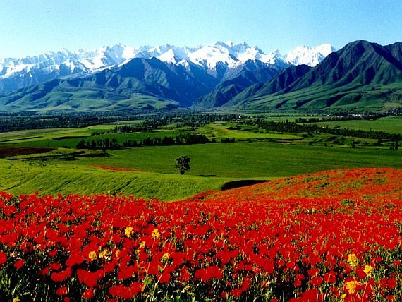 FERGHANA VALLEY: A COMMON VISION OF A STRATEGY FOR SUSTAINABLE DEVELOPMENT AND PROSPERITY